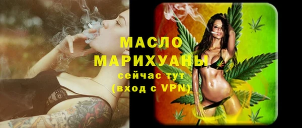 ECSTASY Горняк