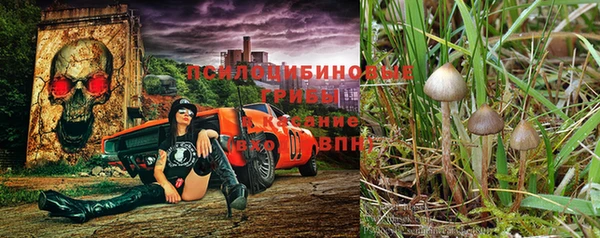 таблы Михайловск